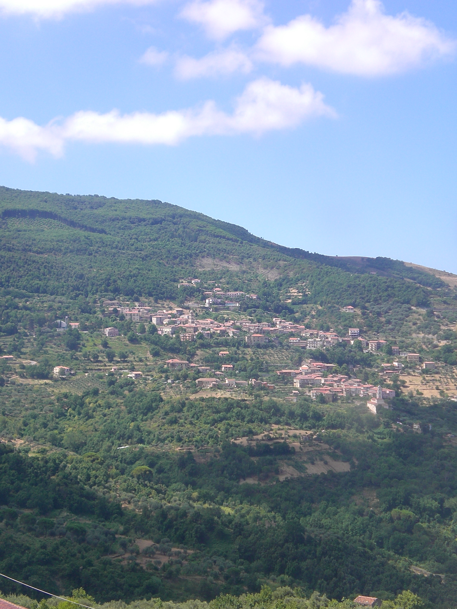 Festa della cipolla di Vatolla - 11ª edizione