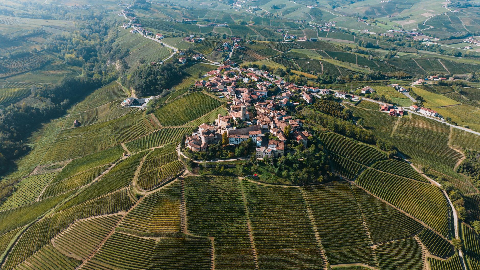 Campagna coltivata